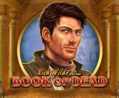 Book of dead slot